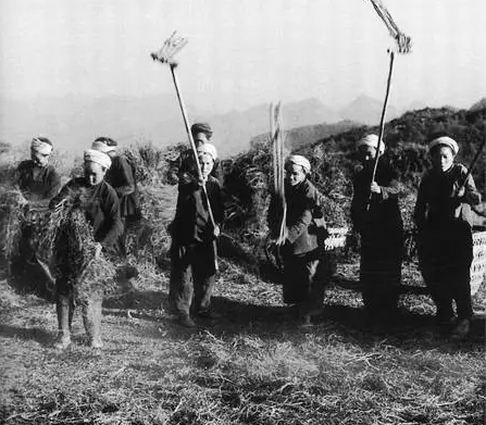 难过的“粮食难关”