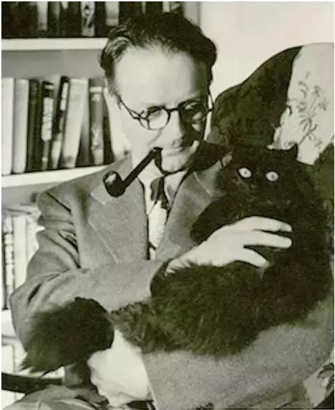 作家的心是属于猫的