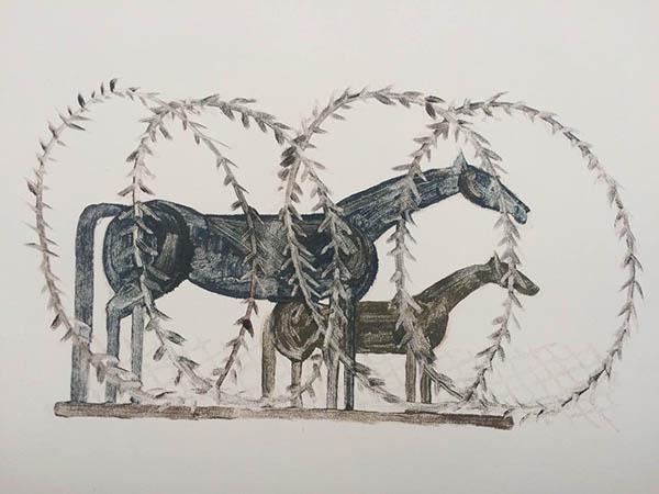 纪录片导演顾桃：是本能和直觉构成了我们的社会属性