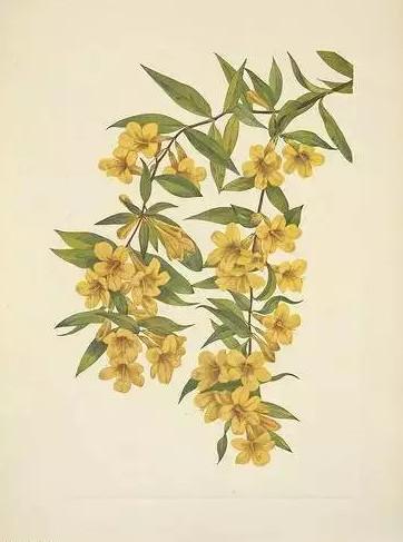 畅销书小说家变身毒药大师