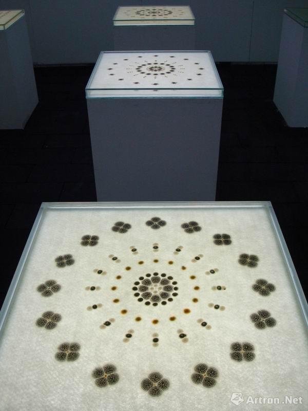 �й����������ڱ�Ի��ǽ���