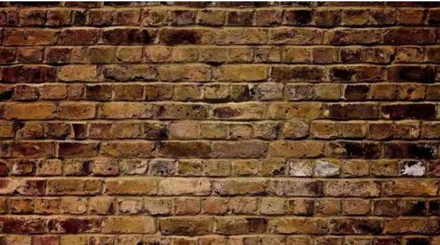 梁晓声:人不可无禁忌,哪怕对一堵墙_文化_腾讯网