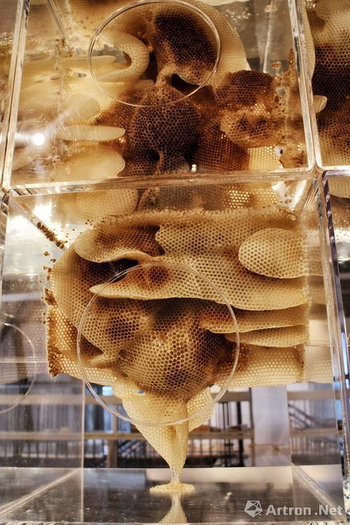 �й����������ڱ�Ի��ǽ���