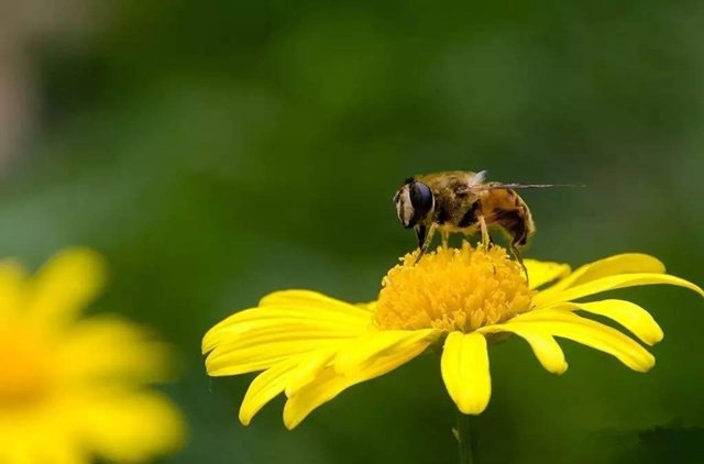 贫穷阻挡不了人们的好奇