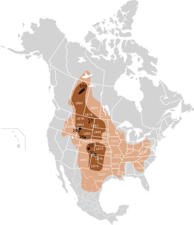 来源：“American Bison”, Wikipedia