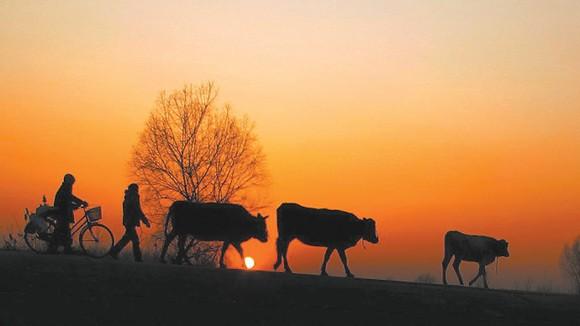 文人学者谈《记住乡愁》,称其激发文化自信_文化_腾讯网