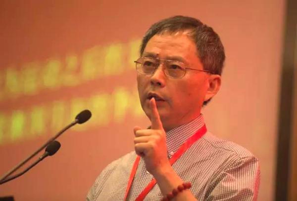 罗志田：西方化大势下中国文化如何翻身？