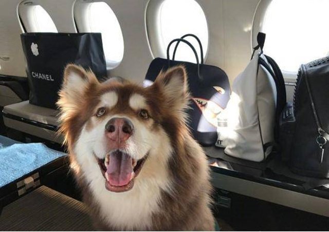 真正限制你想象力的,不是贫困而是没文化