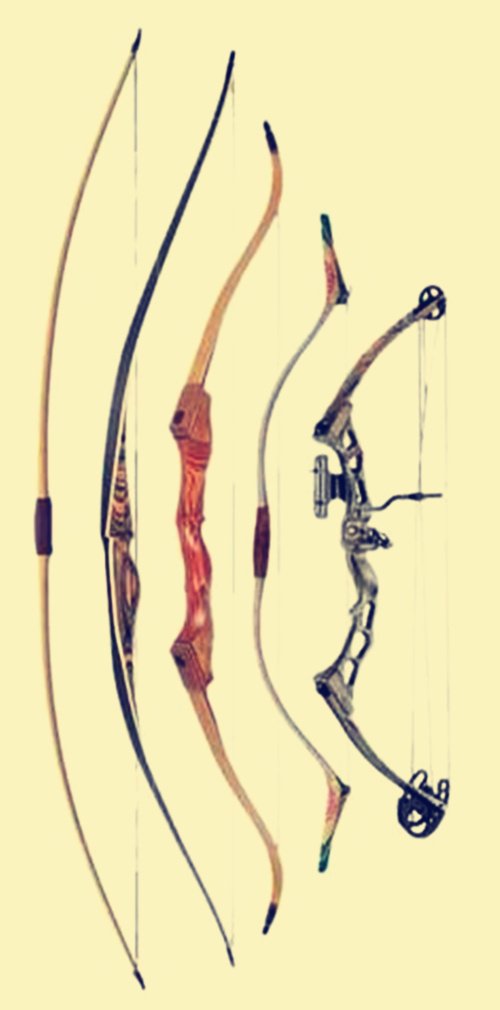 由左至右:英格兰长弓,欧洲扁弓,欧洲弯弓,蒙古弓,现代猎弓,英国长弓