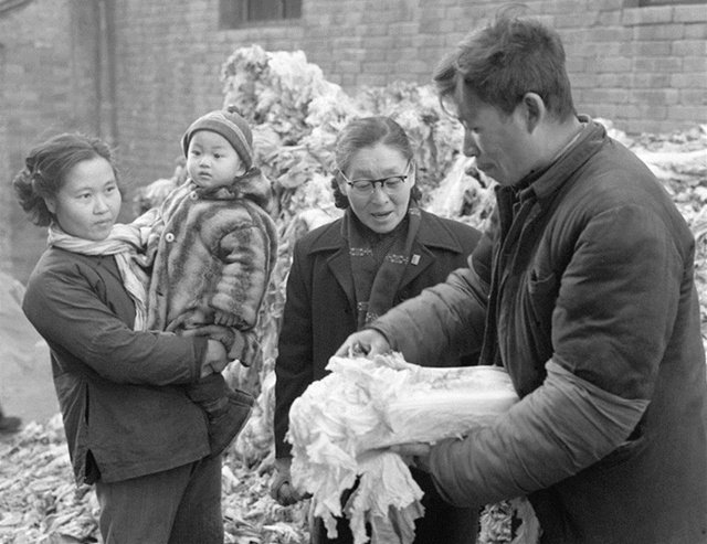 北京冬天，曾有種味道叫冬儲大白菜