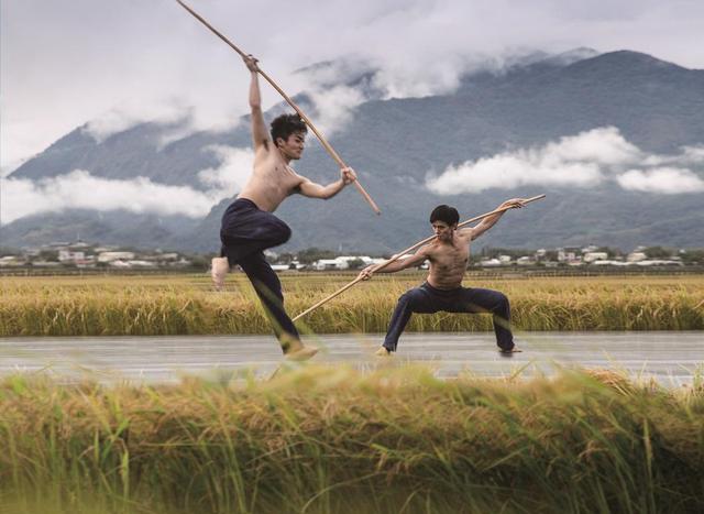 《稻禾》：林怀民用舞蹈记录一方稻田的生命轮转