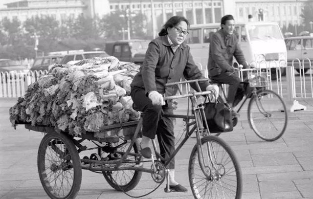 北京冬天，曾有種味道叫冬儲大白菜