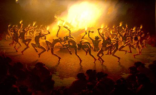 人类的狂热从哪里来?