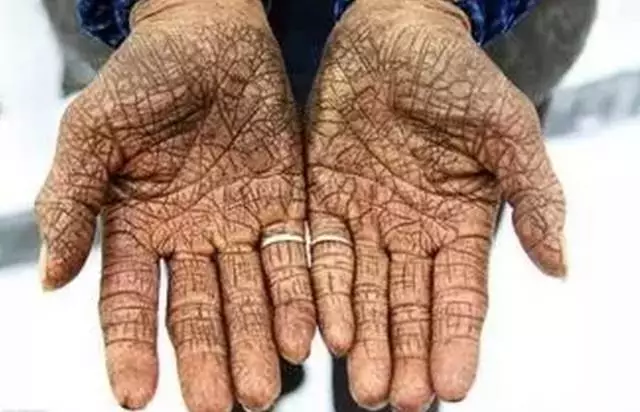 毕竞悦:为何中国的土地上没有生长出工业革命