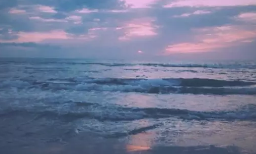 春天责备我不开花 不繁茂 没有灵魂丨读诗