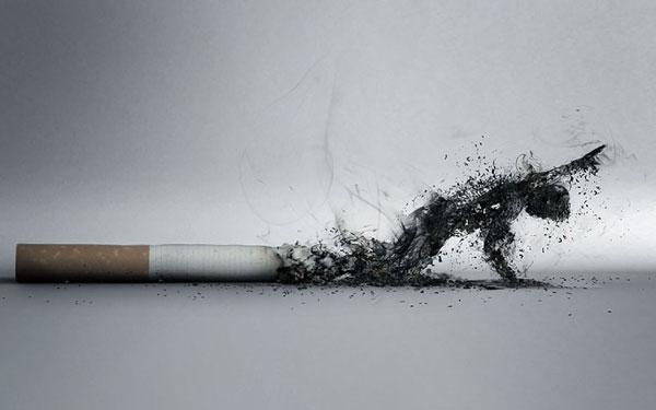吸烟小史:瘾君子行状