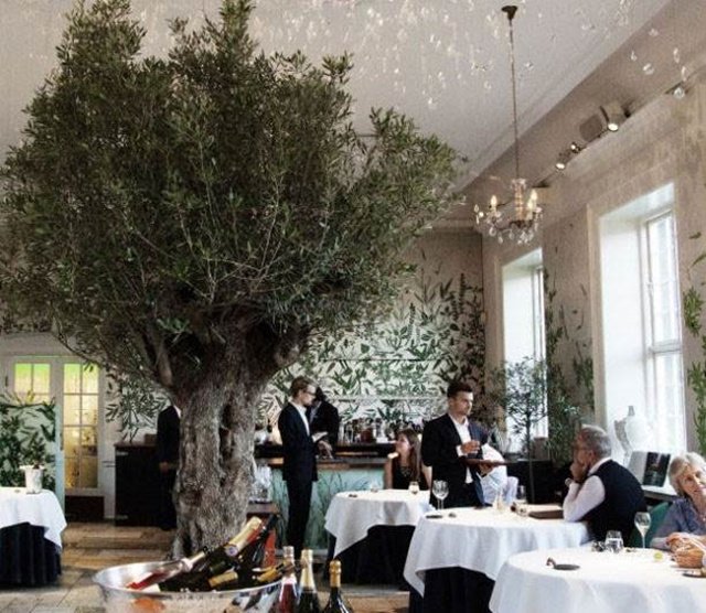 如果美人魚可以紅燒