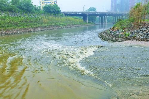 何兵:中国环境污染严重并不是因为人多