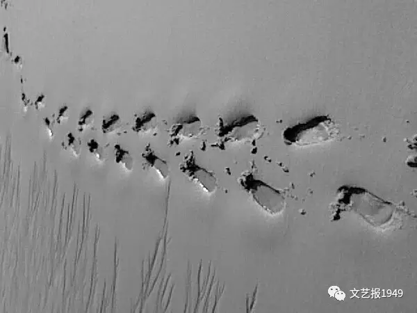 年轻人是乡村抛向远方的一枚脚印 | 生活