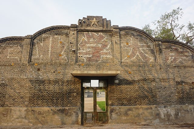 一天看七场电影是种什么体验