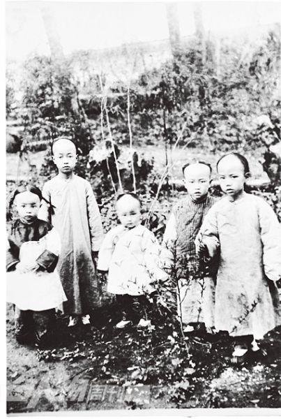 陈寅恪家族百年浮沉：独立自由须以生死力争