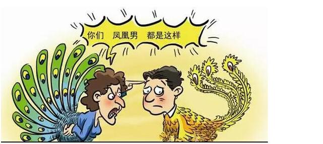 从上海姑娘的逃离说起凤凰男，尴尬的时代名词_文化_腾讯网