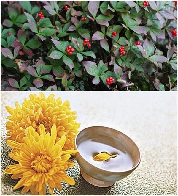 重阳节的茱萸该怎么插戴?