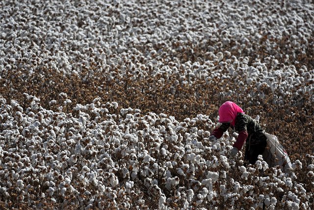 米热古丽的声音