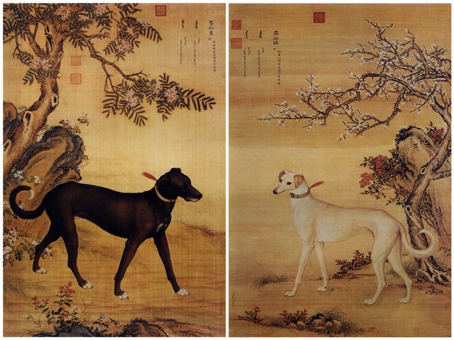 中國人為什麼吃狗肉