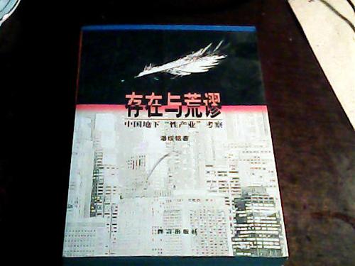 潘绥铭：禁娼究竟为谁服务？