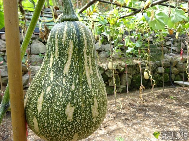 故人具鸡黍:史上最感人的一次约饭