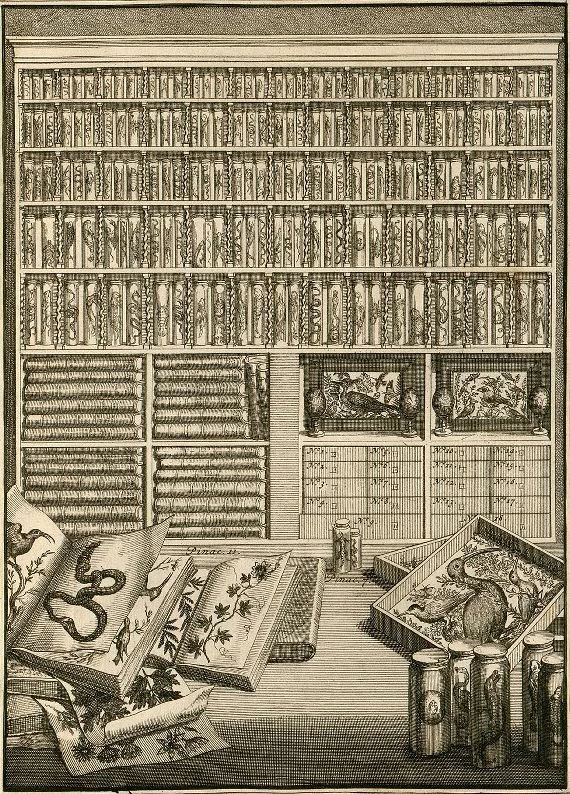 贫穷阻挡不了人们的好奇