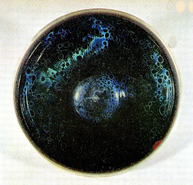 日本陶艺的孤寂之美