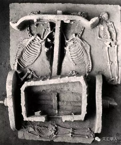 古代动物与人同行的历史