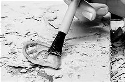 梵高的耳朵找到了?