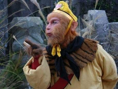 孙悟空明明是猴子,为何他的绰号叫心猿呢?