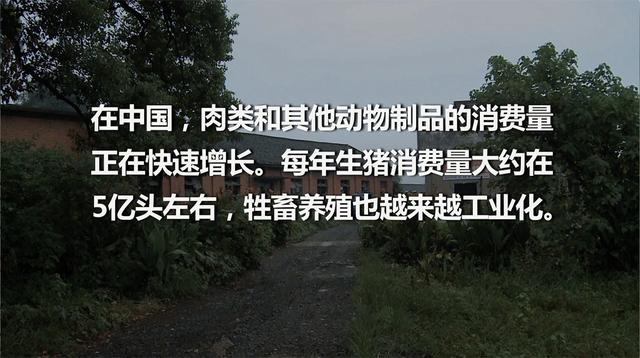 越南人口增长比柬埔寨快_越南老挝柬埔寨地图(3)