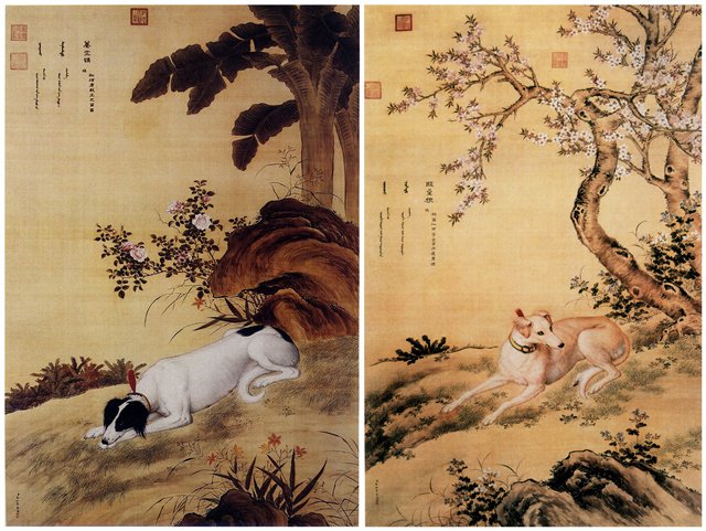 中國人為什麼吃狗肉