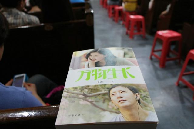 《万物生长》书籍