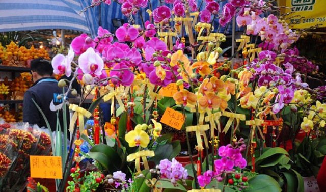 我們這裡過年不吃餃子