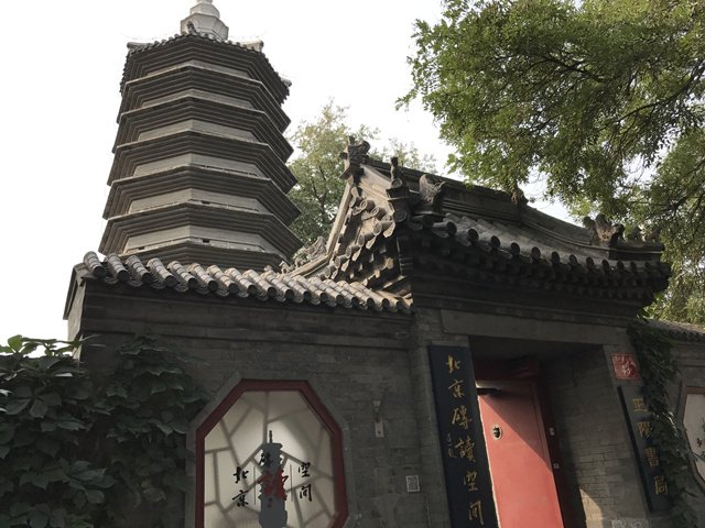 城裡那座唯一的古代磚塔，見證了800年的師生情誼