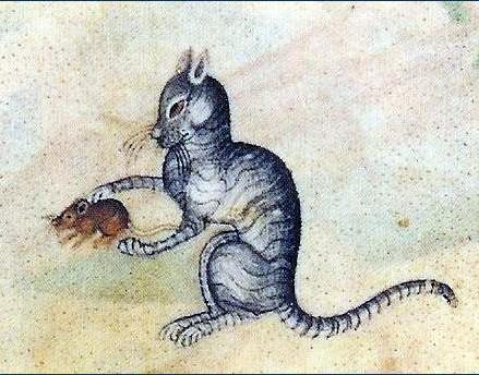 <em>黑猫 女巫</em>与黑死病:基督教世界的屠猫记_文化