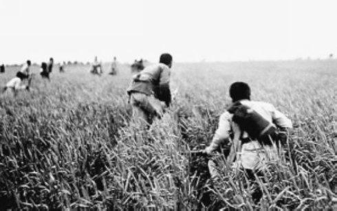 黄道炫:中共在抗战中何以壮大?