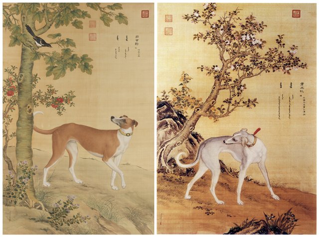 中國人為什麼吃狗肉