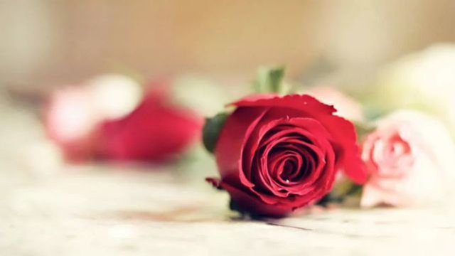 寫給中年人的情書