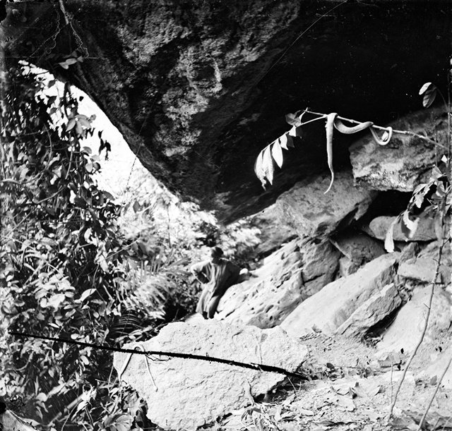 约翰·汤姆逊在台湾拍到的两条被打死的蛇,1871年 约翰·汤姆逊在台湾拍到的两条被打死的蛇,1871年