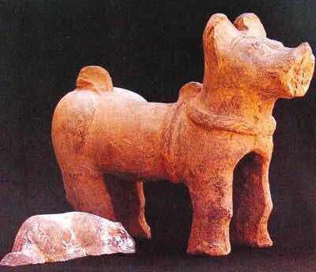 中國人為什麼吃狗肉