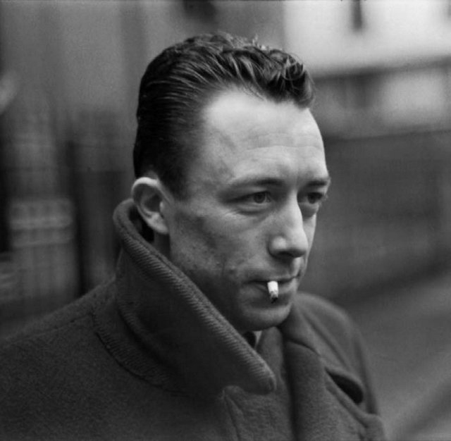 加缪:在荒诞的世界孤独行动_文化_腾讯网