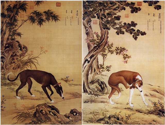 中國人為什麼吃狗肉