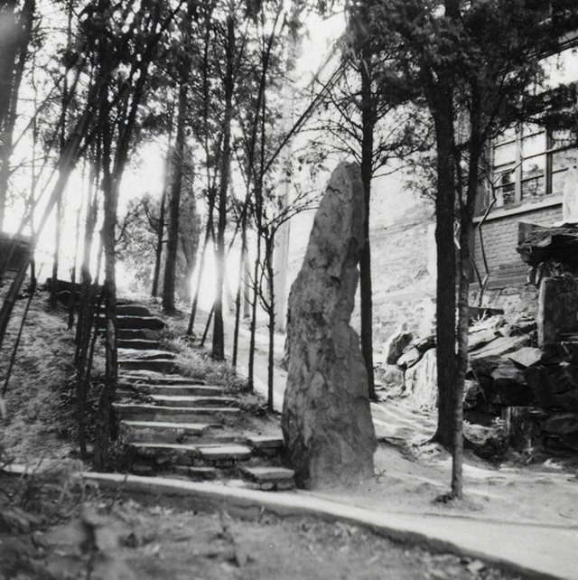 九月九日，何处登高复举觞